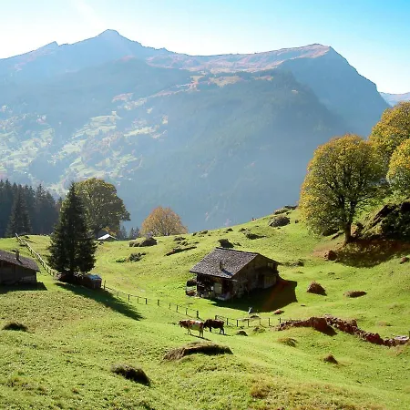 公寓 Albi-2 By Interhome *