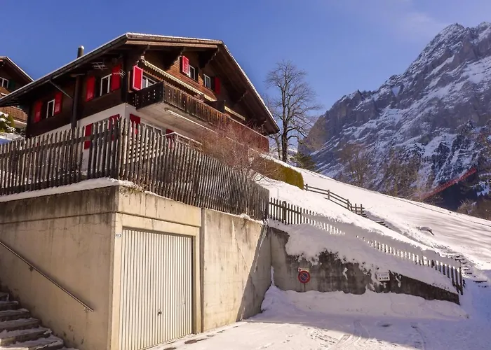 Albi-2 By Interhome * Grindelwald