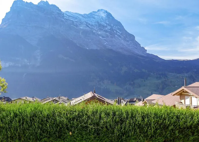 Albi-2 By Interhome * 格林德瓦