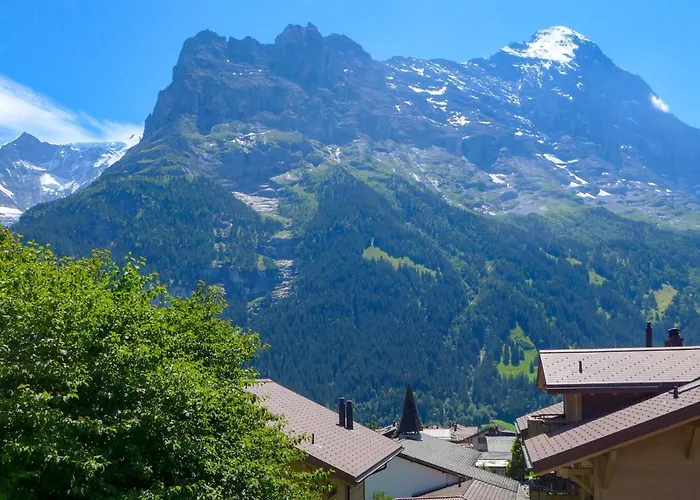 Albi-2 By Interhome 公寓