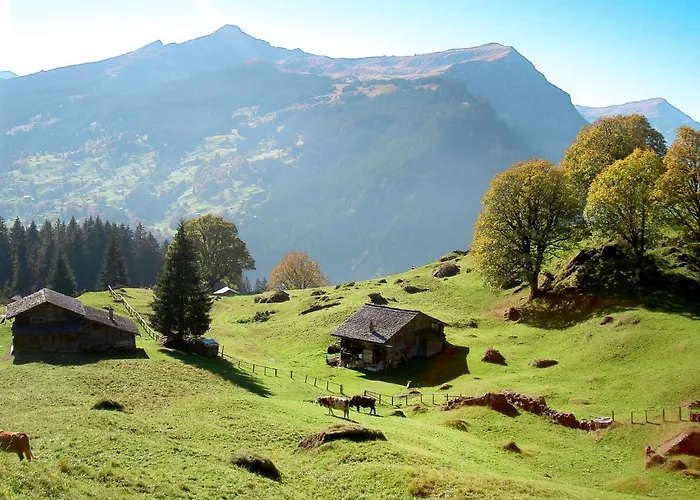 公寓 Albi-2 By Interhome *