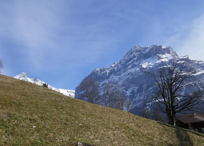 Albi-2 By Interhome 公寓 *