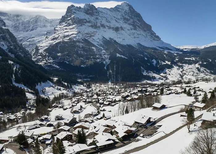 Albi-2 By Interhome Apartman Grindelwald