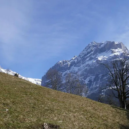 Albi-2 By Interhome Appartamento *